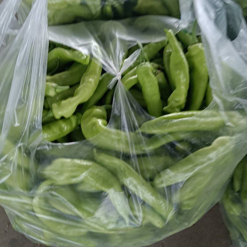 小尖椒