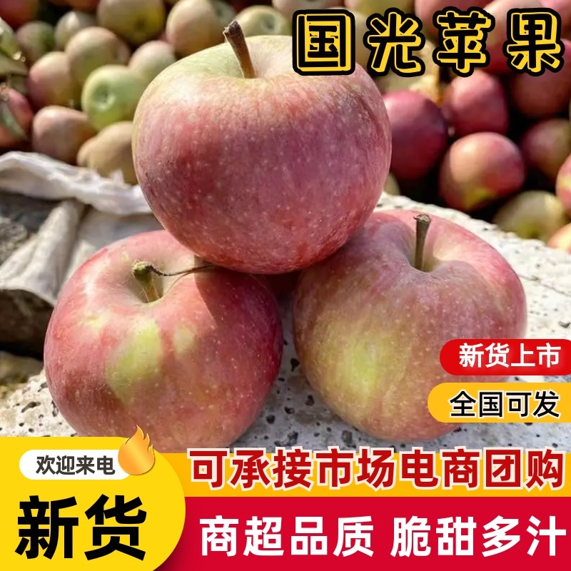 正宗山东五莲小果光产地直发商超品质味美价廉