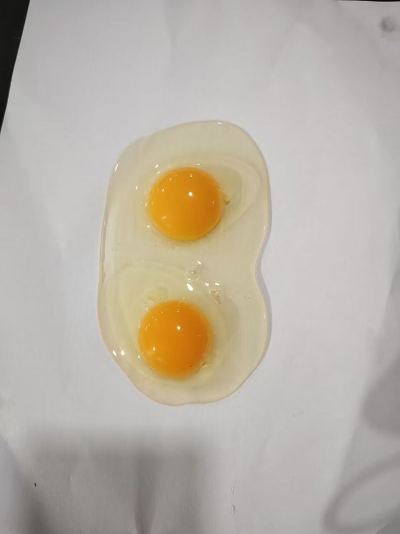 鸡蛋