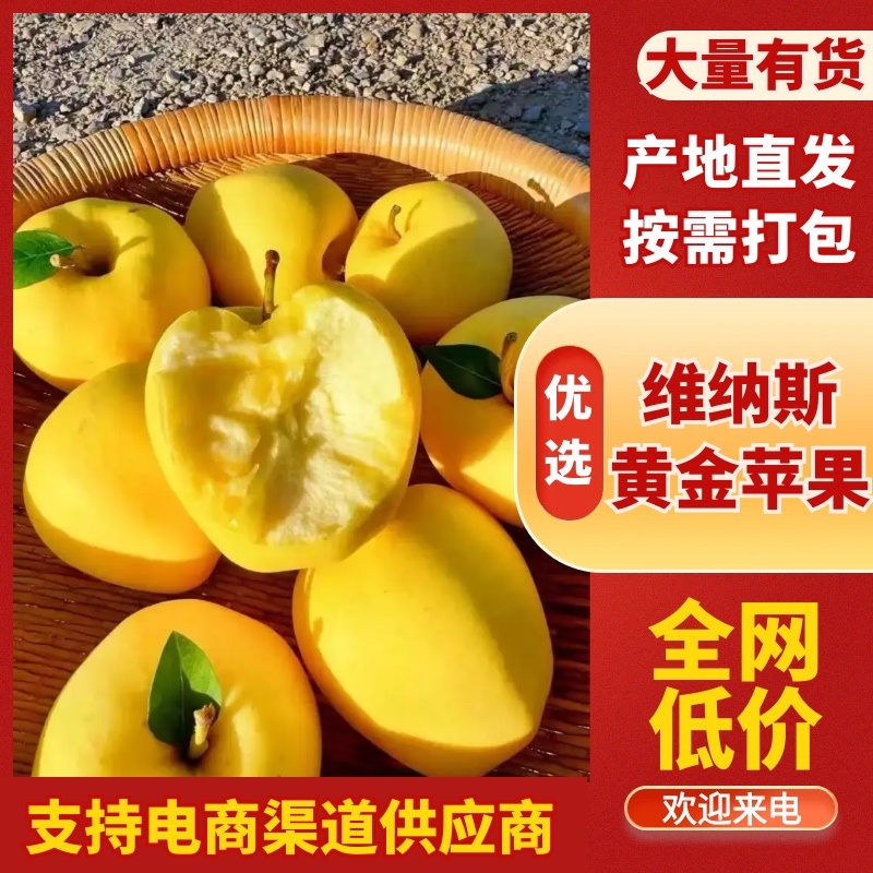 山东维纳斯黄金苹果新鲜上市产地直发脆甜多汁