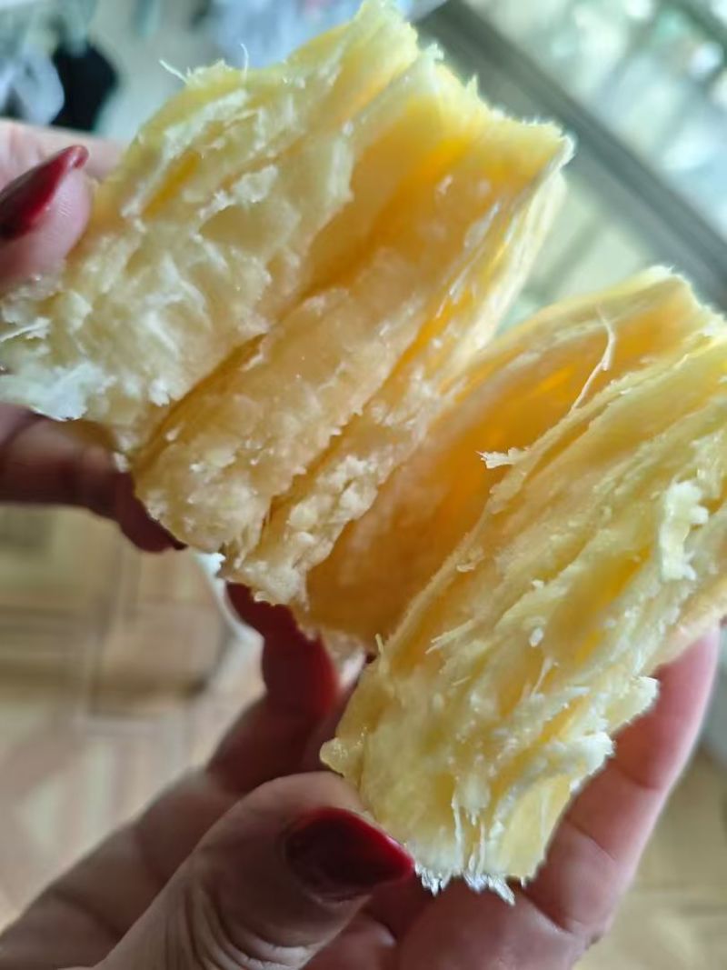 华南9号木薯