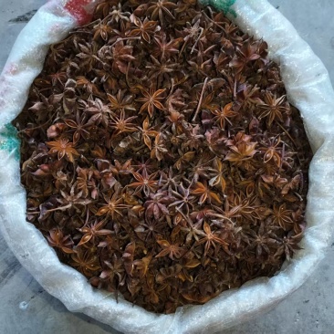 大红八角