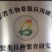 中华鳖公