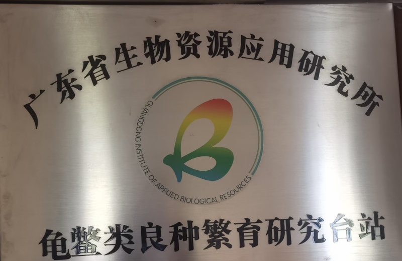 中华鳖公