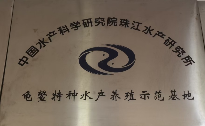 中华鳖公