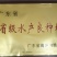 中华鳖公