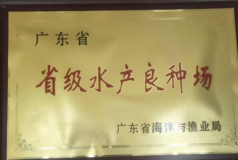 中华鳖公