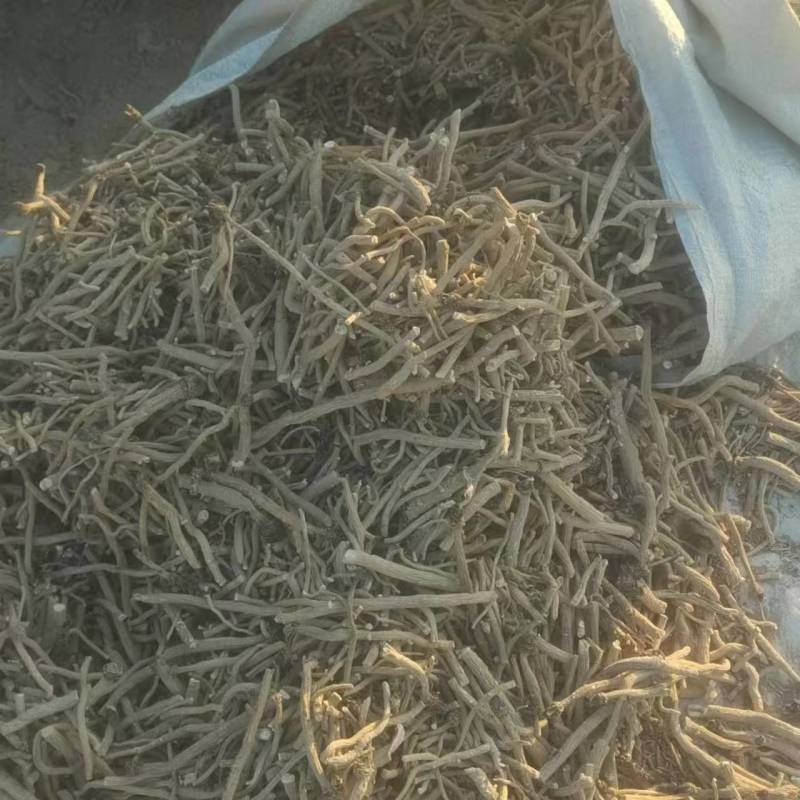 甘肃优质板蓝根，通货