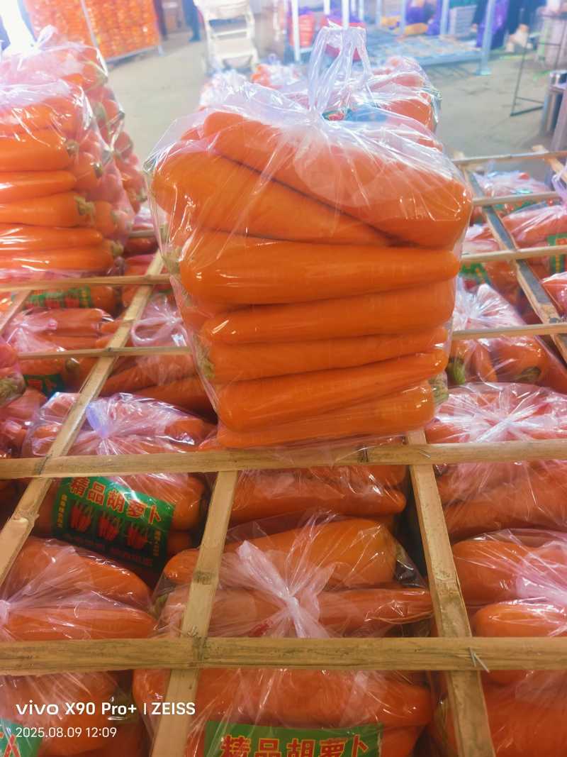 河南水洗胡萝卜各种规格各种包装电商出口场地一手货源