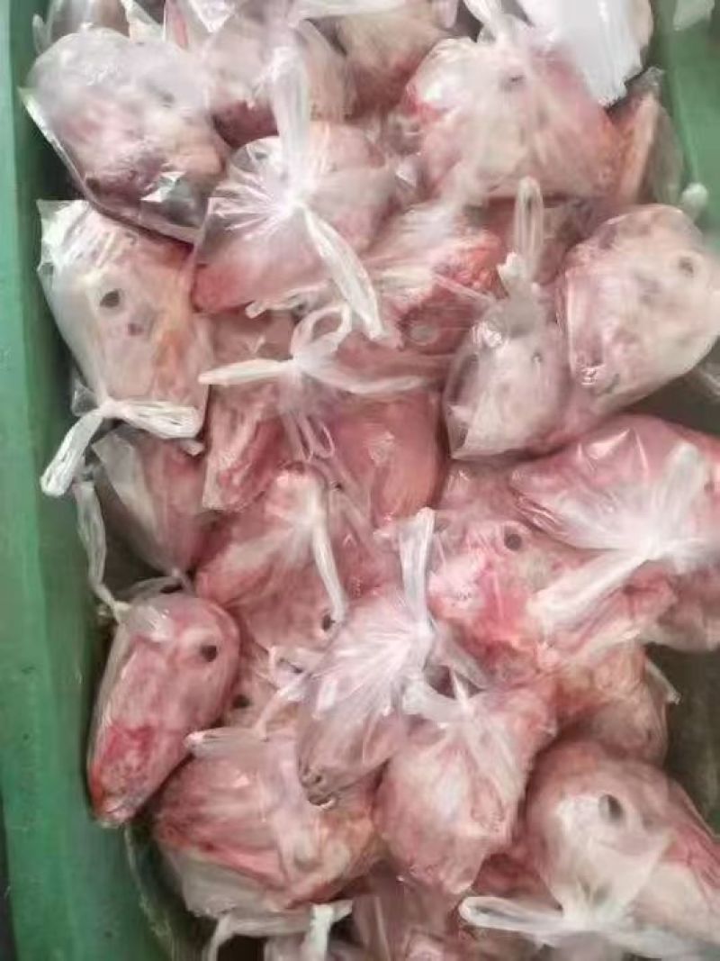 去皮羊头