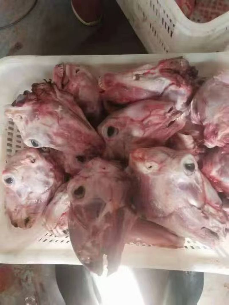 去皮羊头