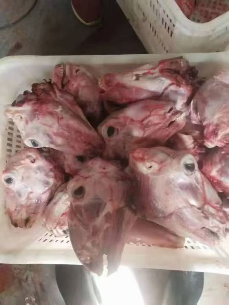 去皮羊头