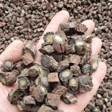 丹参四川精品丹参（一手货源）量大从优，规格齐全，欢迎电联
