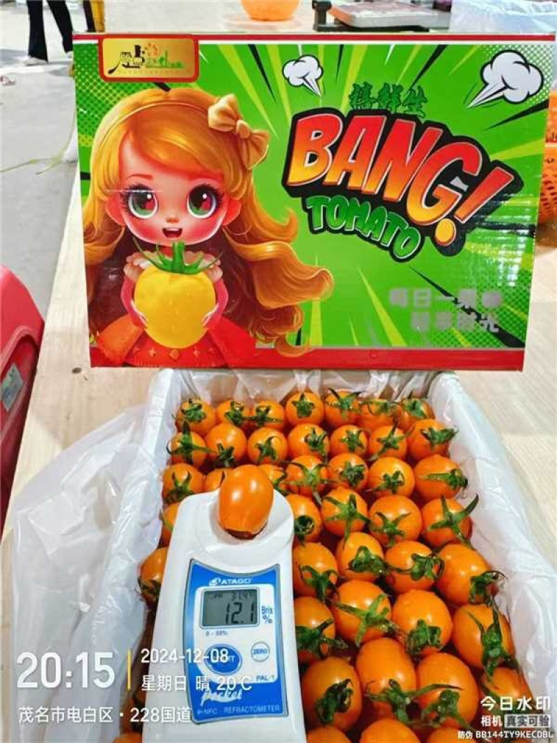 黄圣女果精品好果支持全网一件代发欢迎新老顾客进店抢购