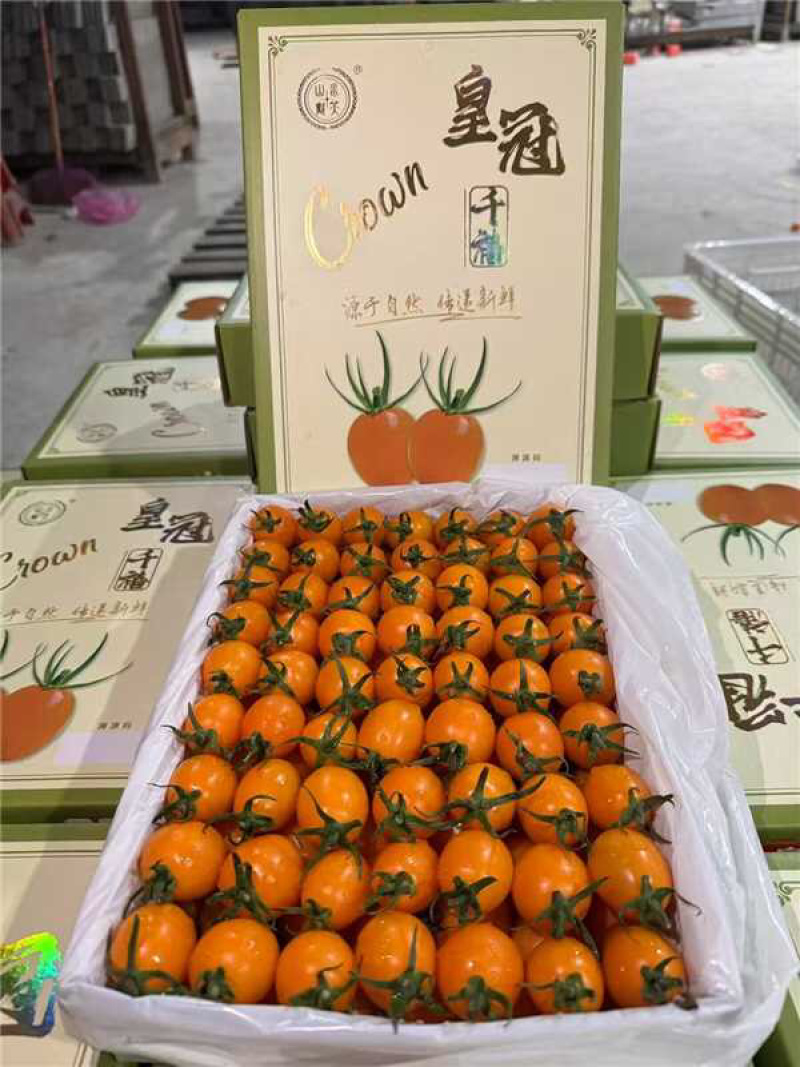 黄圣女果精品好果支持全网一件代发欢迎新老顾客进店抢购