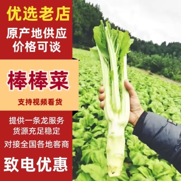 四川绵阳棒菜。圆叶棒菜。花叶棒菜。肉长无斑