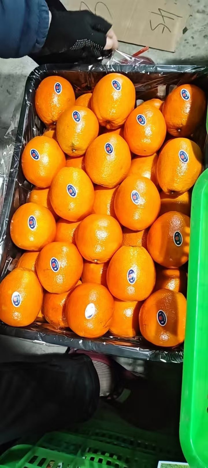 精品纽荷尔脐橙产地直供、精品货源、对接各大市场