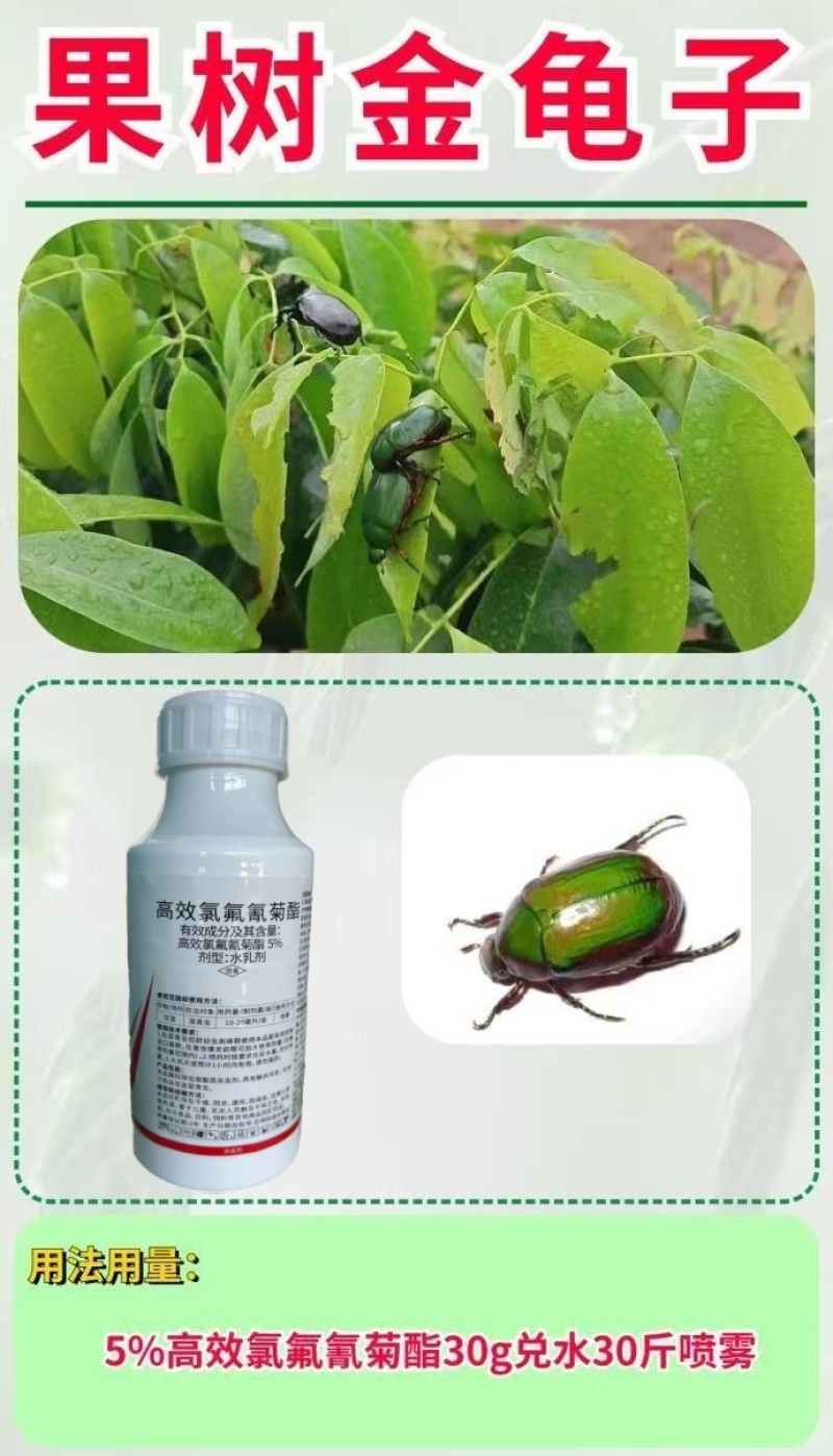 巧喜高效氯氟氰菊酯甘蓝菜青虫地上地下害虫农药杀虫剂