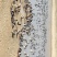散养稻田土鸭