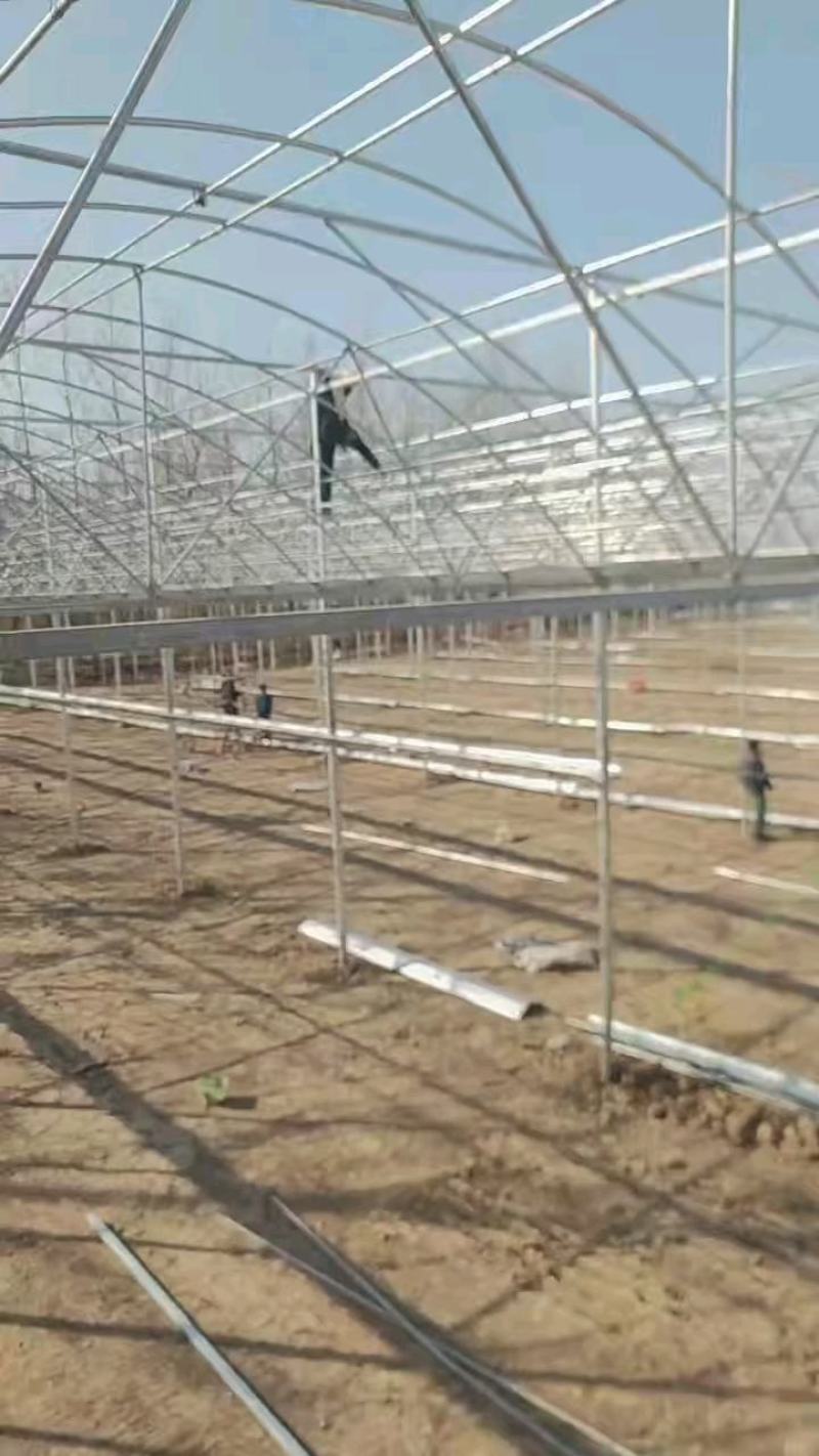 养殖大棚各种规格齐全品类齐全欢迎随时考察欢迎来电洽谈