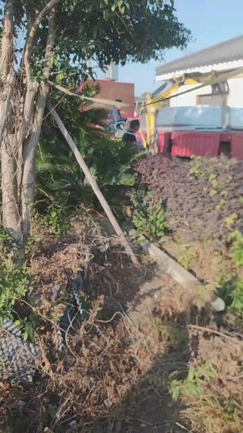 养殖大棚各种规格齐全品类齐全欢迎随时考察欢迎来电洽谈