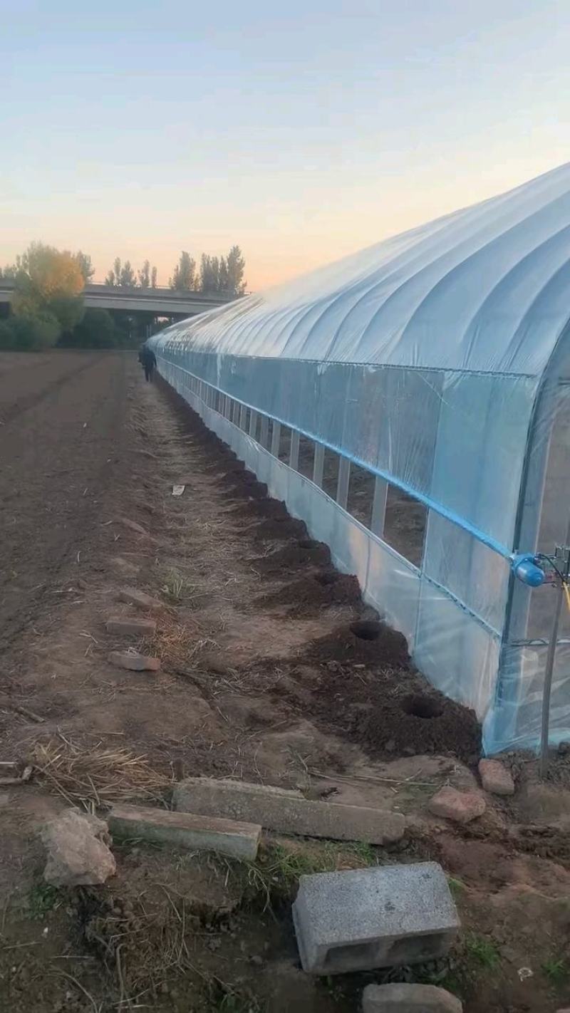 养殖大棚各种规格齐全品类齐全欢迎随时考察欢迎来电洽谈