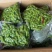 五香毛豆五香花生20斤
