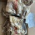 百万山去皮熟羊肉40斤
