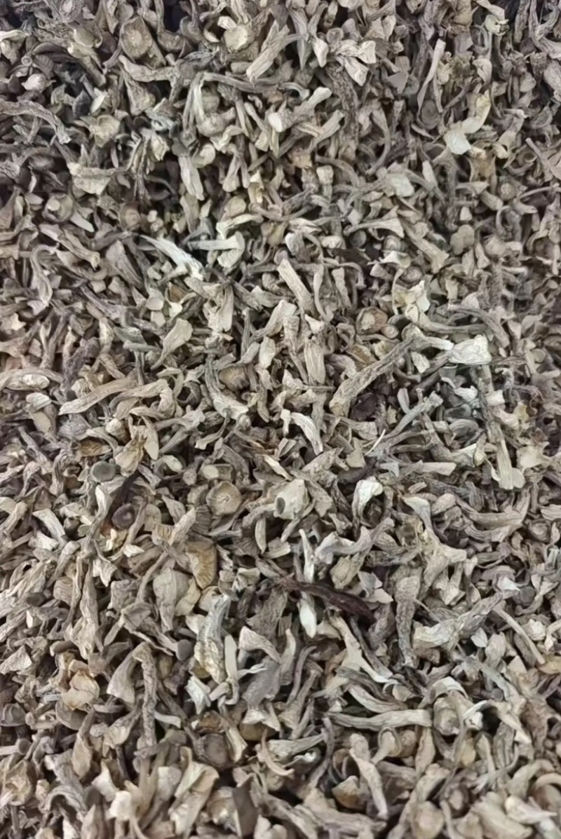 碎断帽鹿茸菇大量有货，价格便宜，先咨询再下单