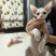 德文猫和无毛猫
