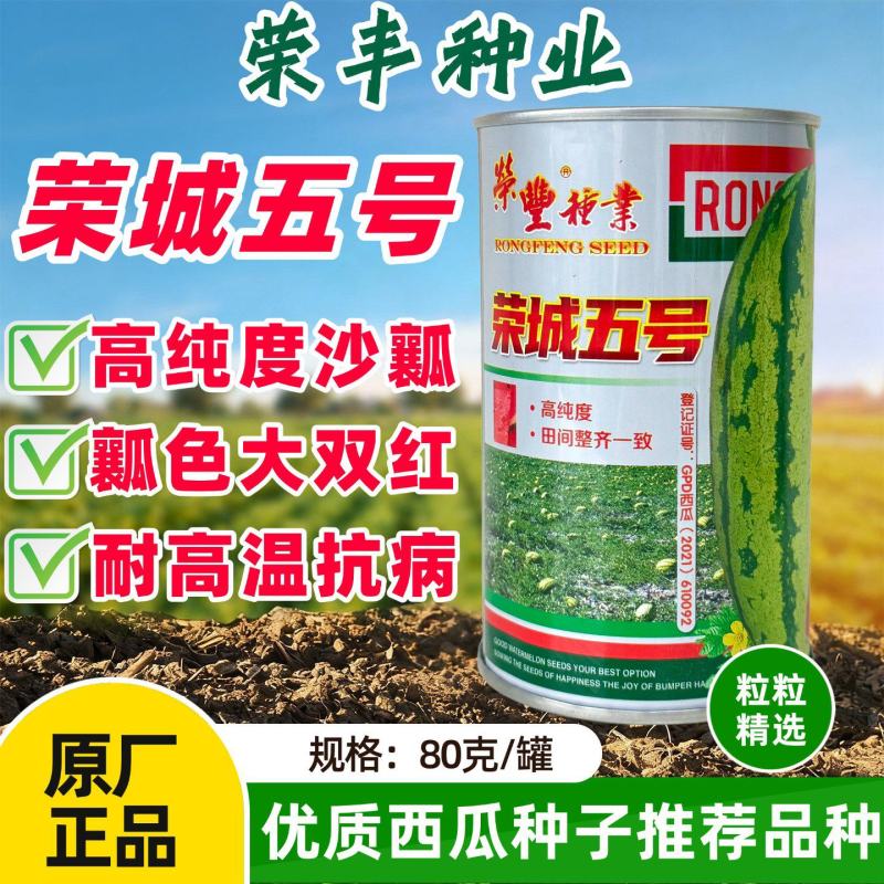 荣成五号生长旺易坐瓜彭果快抗热抗病西瓜种子高糖皮薄大棚种