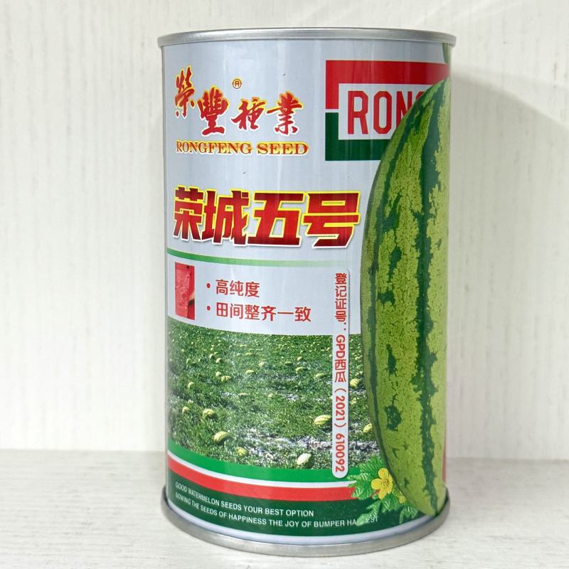 荣成五号生长旺易坐瓜彭果快抗热抗病西瓜种子高糖皮薄大棚种