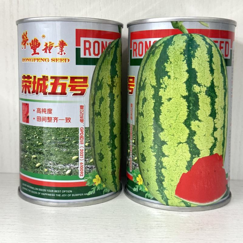 荣成五号生长旺易坐瓜彭果快抗热抗病西瓜种子高糖皮薄大棚种