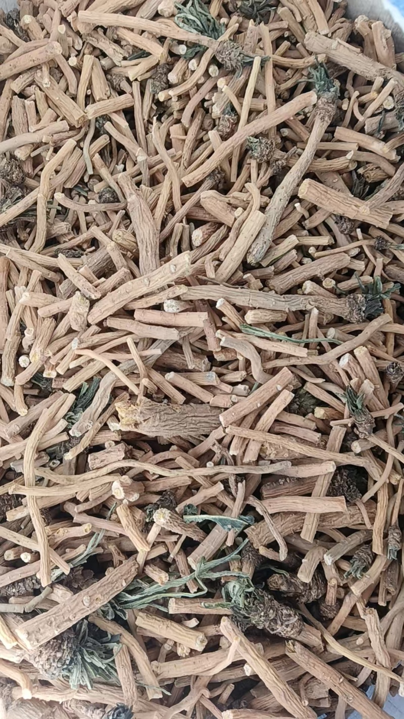 板蓝根