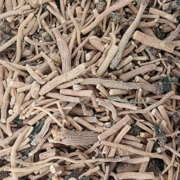 板蓝根