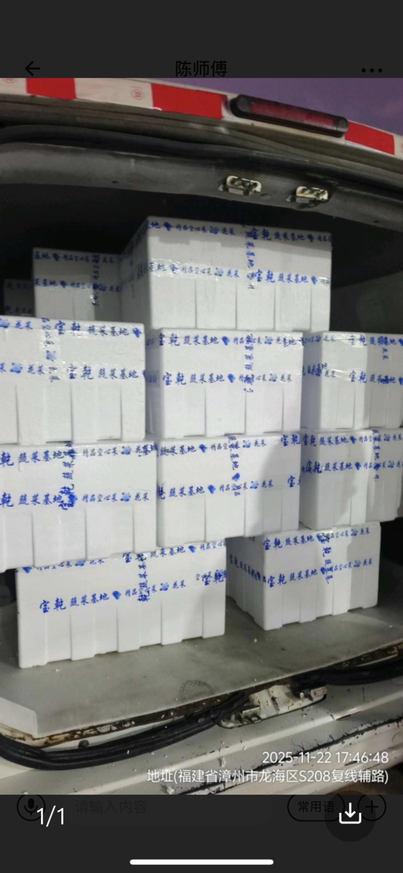 福建空心菜精品货