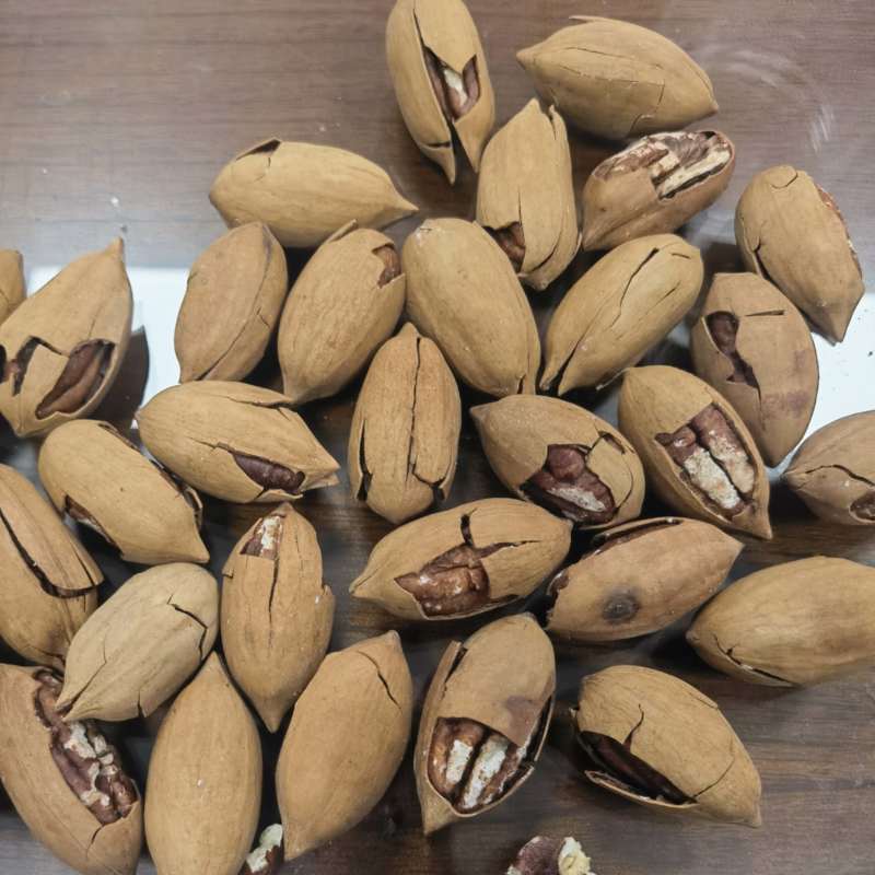 碧根果大颗新货