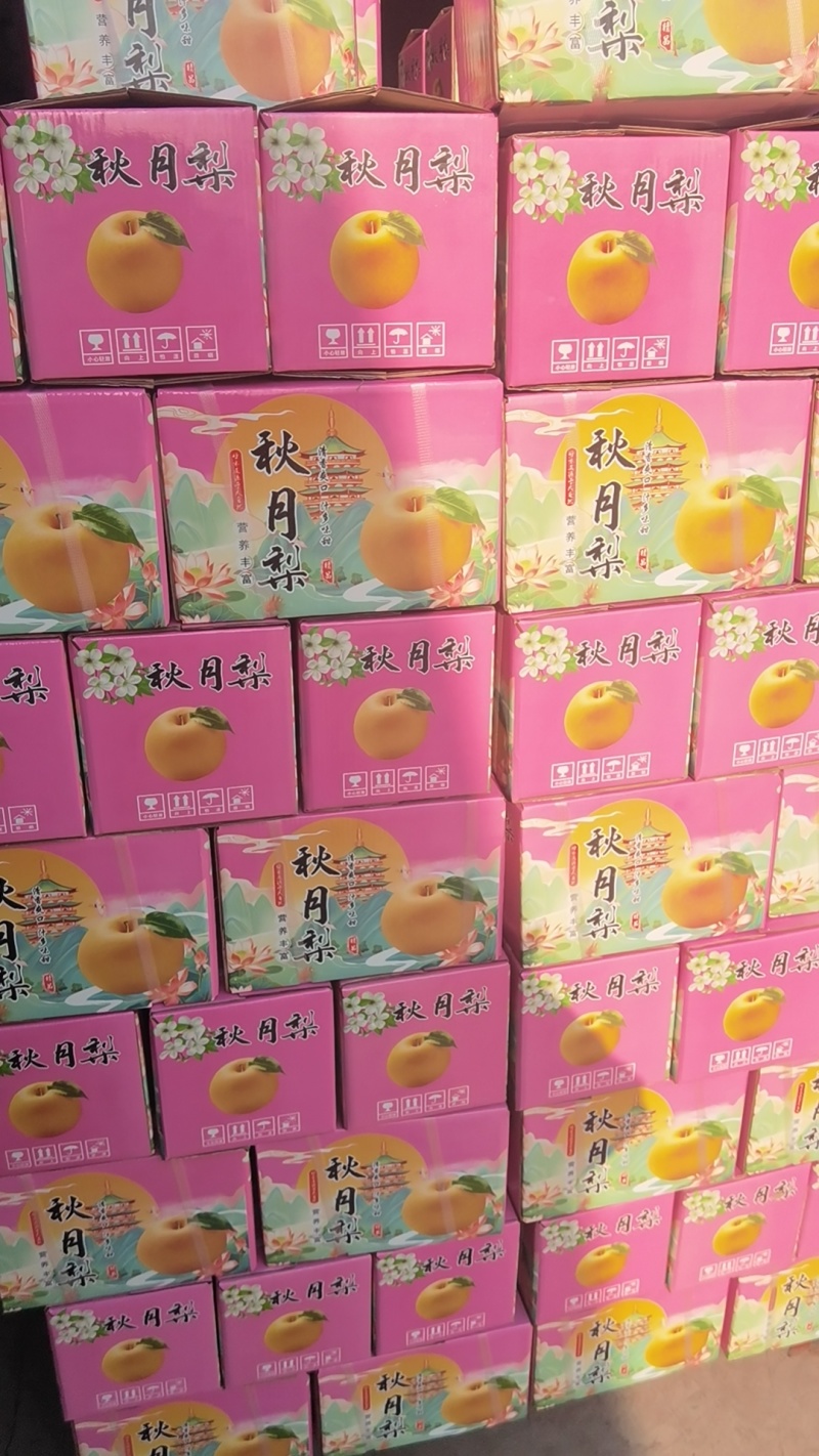 礼盒秋月梨秋月梨礼盒装适合电商团购市场