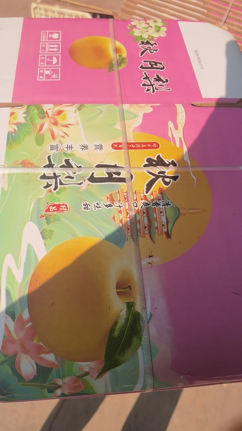 礼盒秋月梨秋月梨礼盒装适合电商团购市场