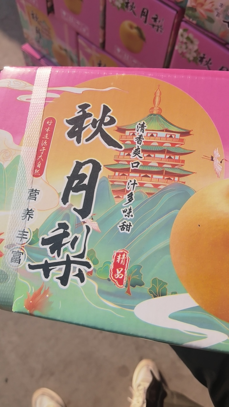 礼盒秋月梨秋月梨礼盒装适合电商团购市场