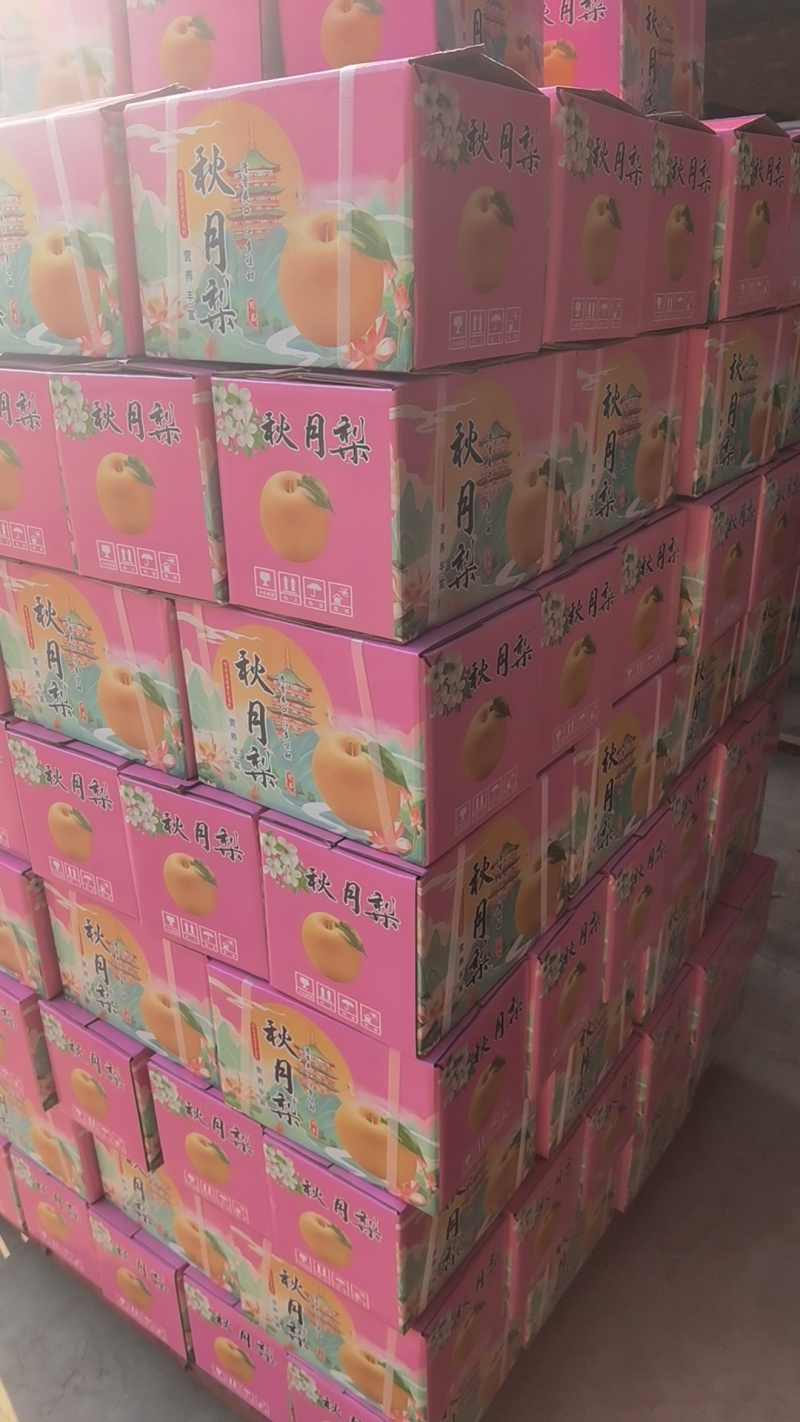 礼盒秋月梨秋月梨礼盒装适合电商团购市场