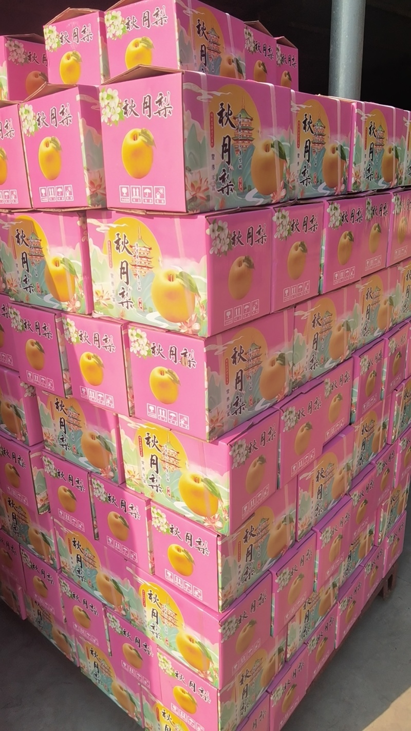 礼盒秋月梨秋月梨礼盒装适合电商团购市场