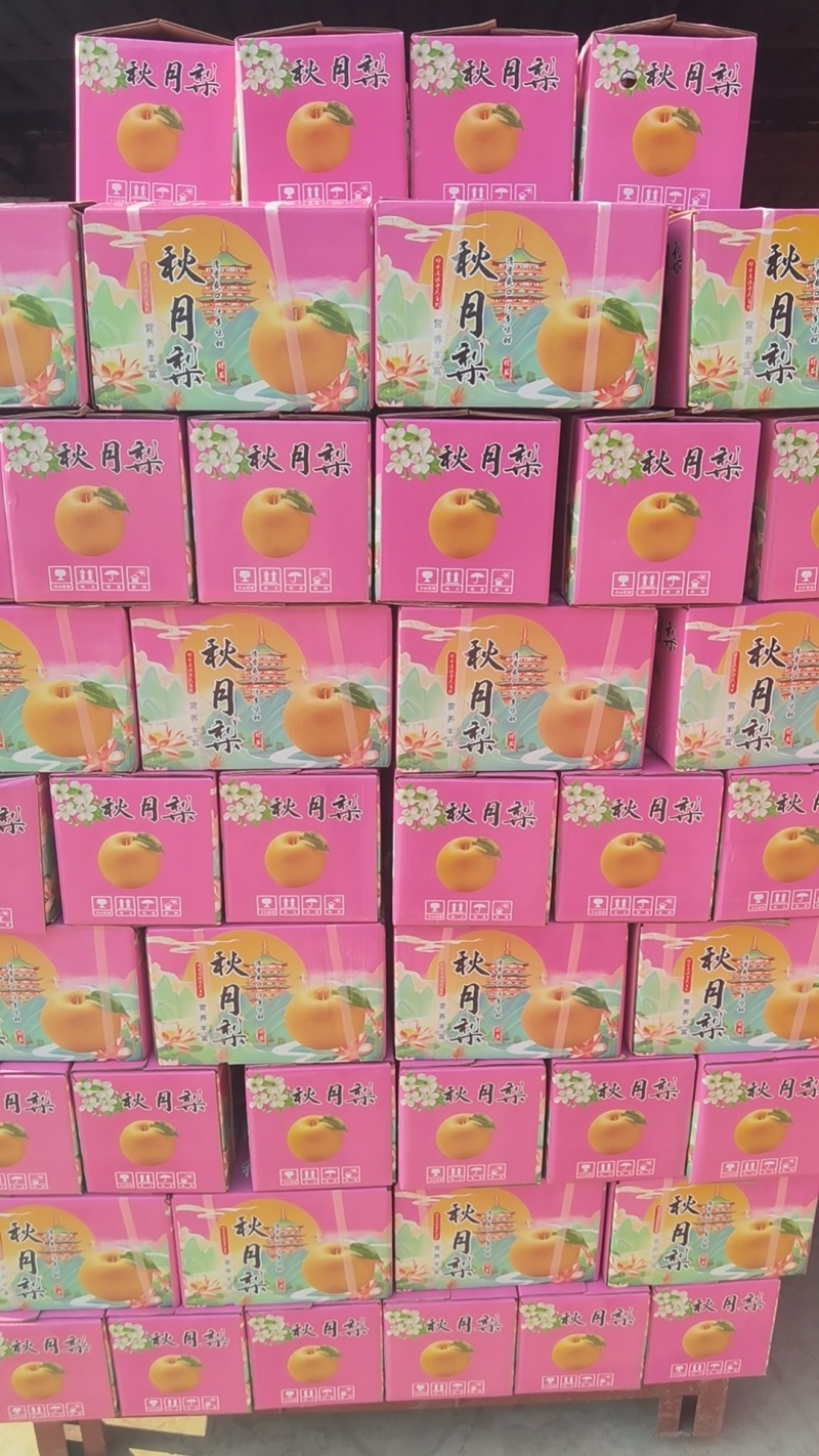 礼盒秋月梨秋月梨礼盒装适合电商团购市场