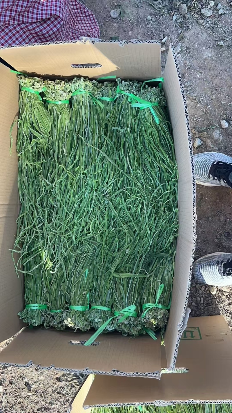 云南大理贡菜产区需要联系产地直发脆嘎嘎脆