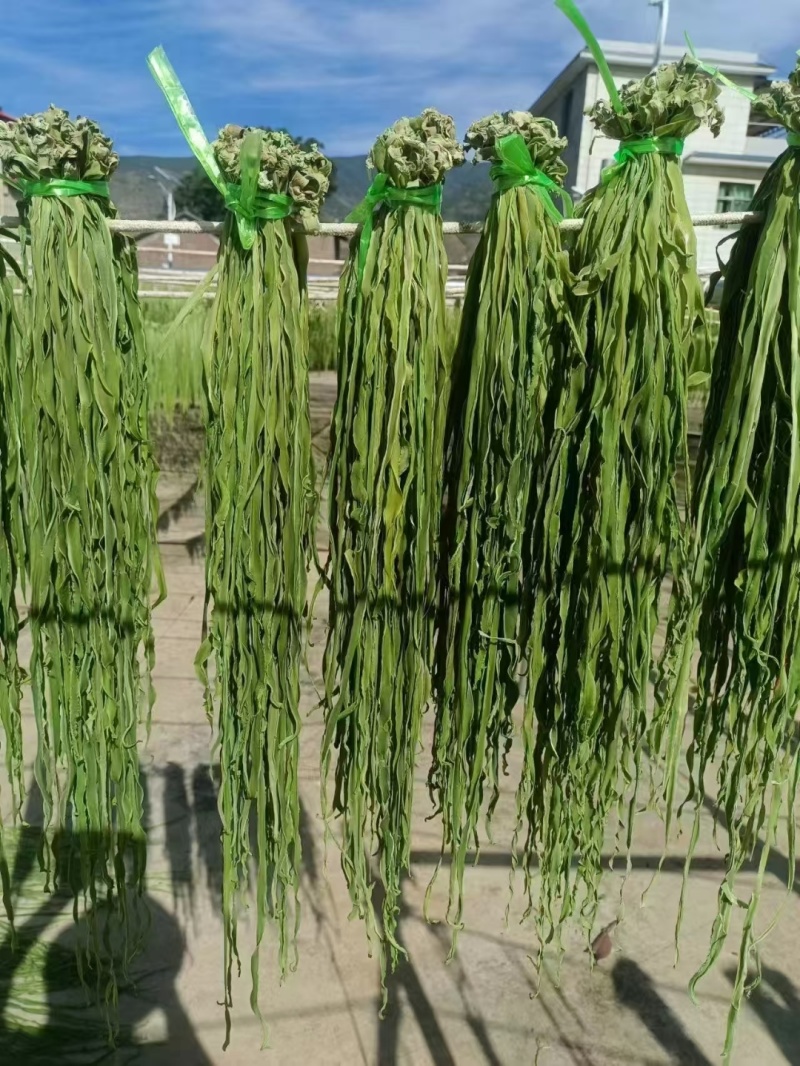 云南大理贡菜产区需要联系产地直发脆嘎嘎脆