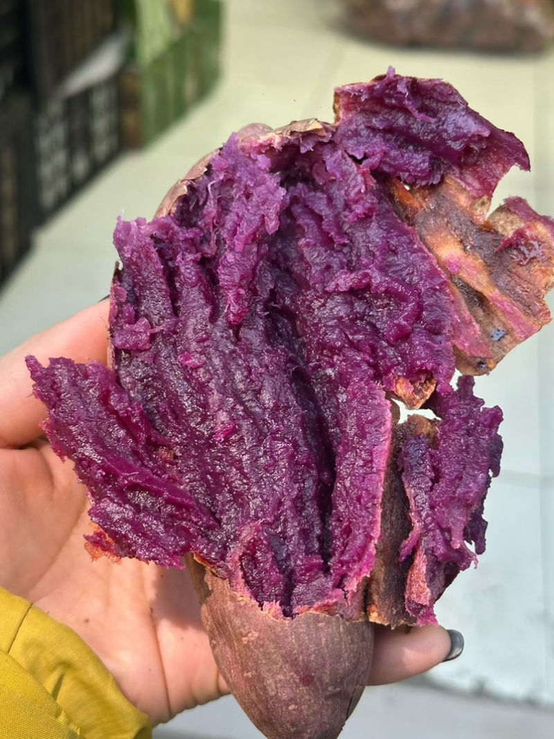 紫薯粉糯香甜无丝批发市场电商商超价格优惠质量好
