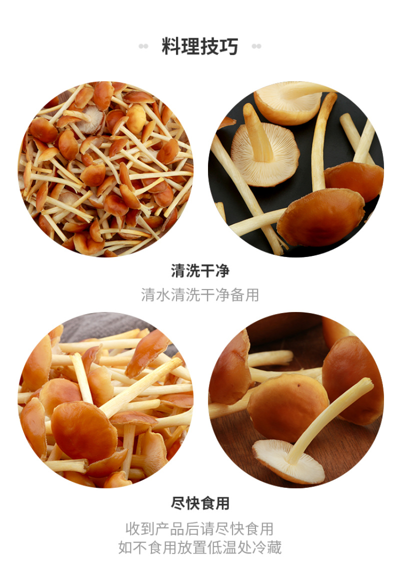 山茶茸