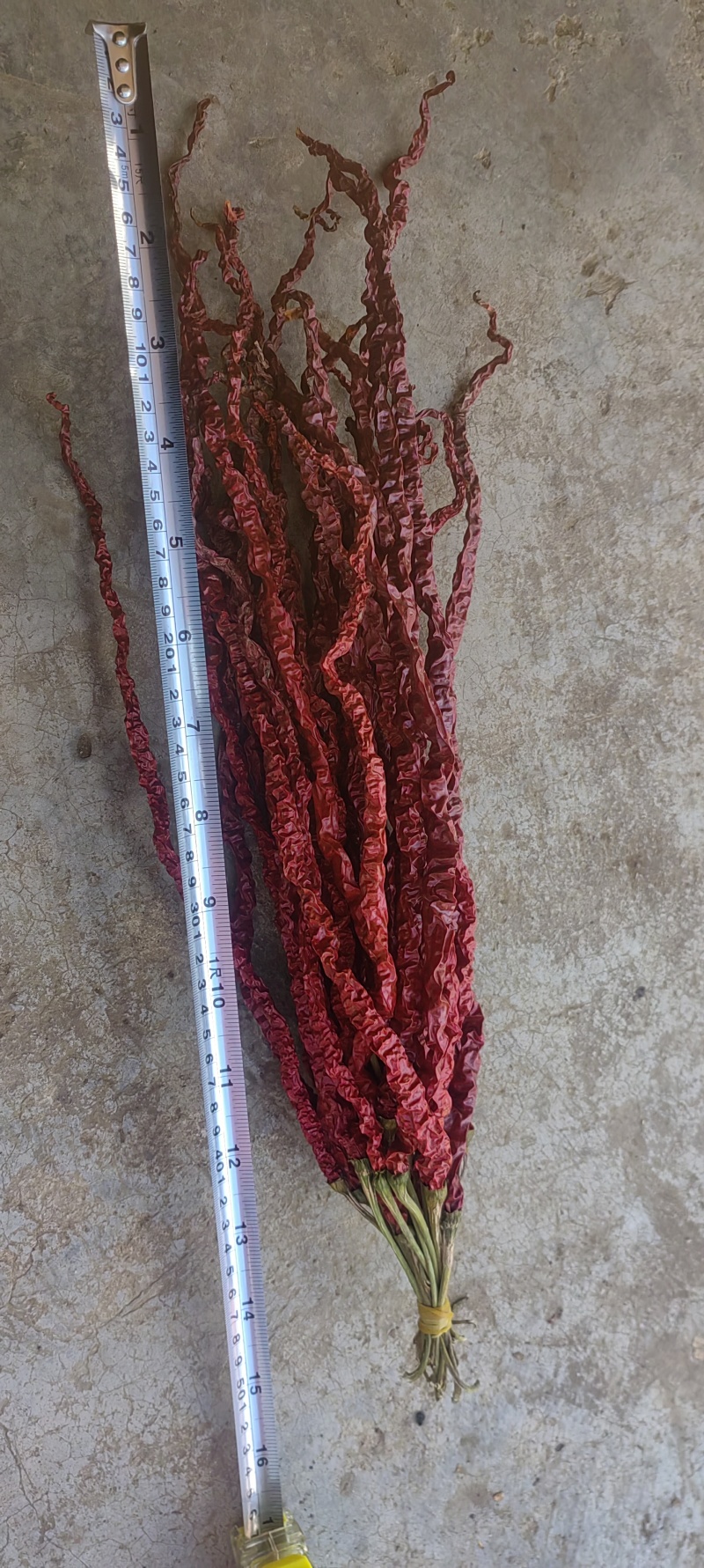 贵州线辣我没有充钱感兴趣的电话