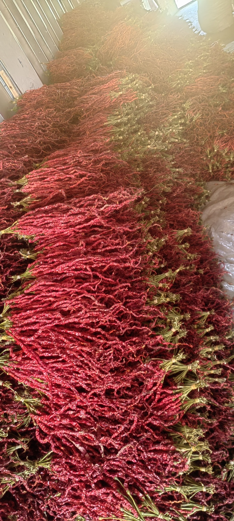 贵州线辣我没有充钱感兴趣的电话