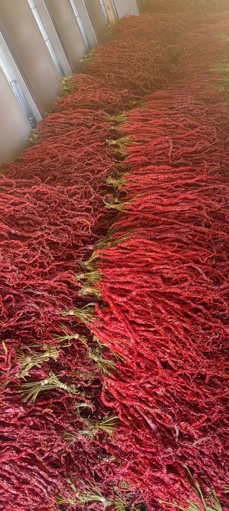 贵州线辣我没有充钱感兴趣的电话